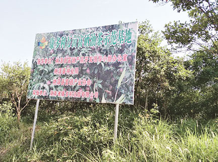 ×ðÁú¿Ê±¡¤(Öйú)ÍøÕ¾-AGÆì½¢Ìü